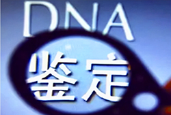 贵州亲子鉴定检测机构预约电话，贵州亲子鉴定服务机构价格