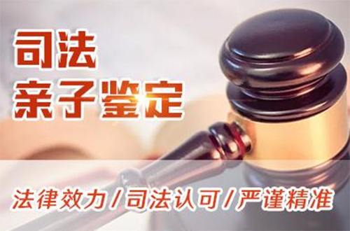 贵州司法DNA鉴定条件和材料,