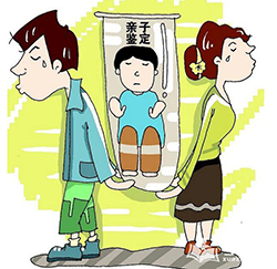 贵州个人DNA亲子鉴定收费明细，贵州个人亲子鉴定办理流程